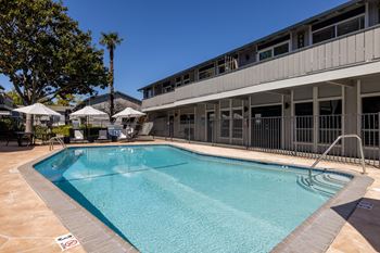 The swimming pool at the resort at longboat key club